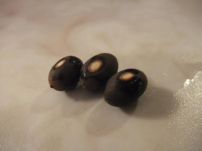 asian lotus seeds, scour, sand seed shell
