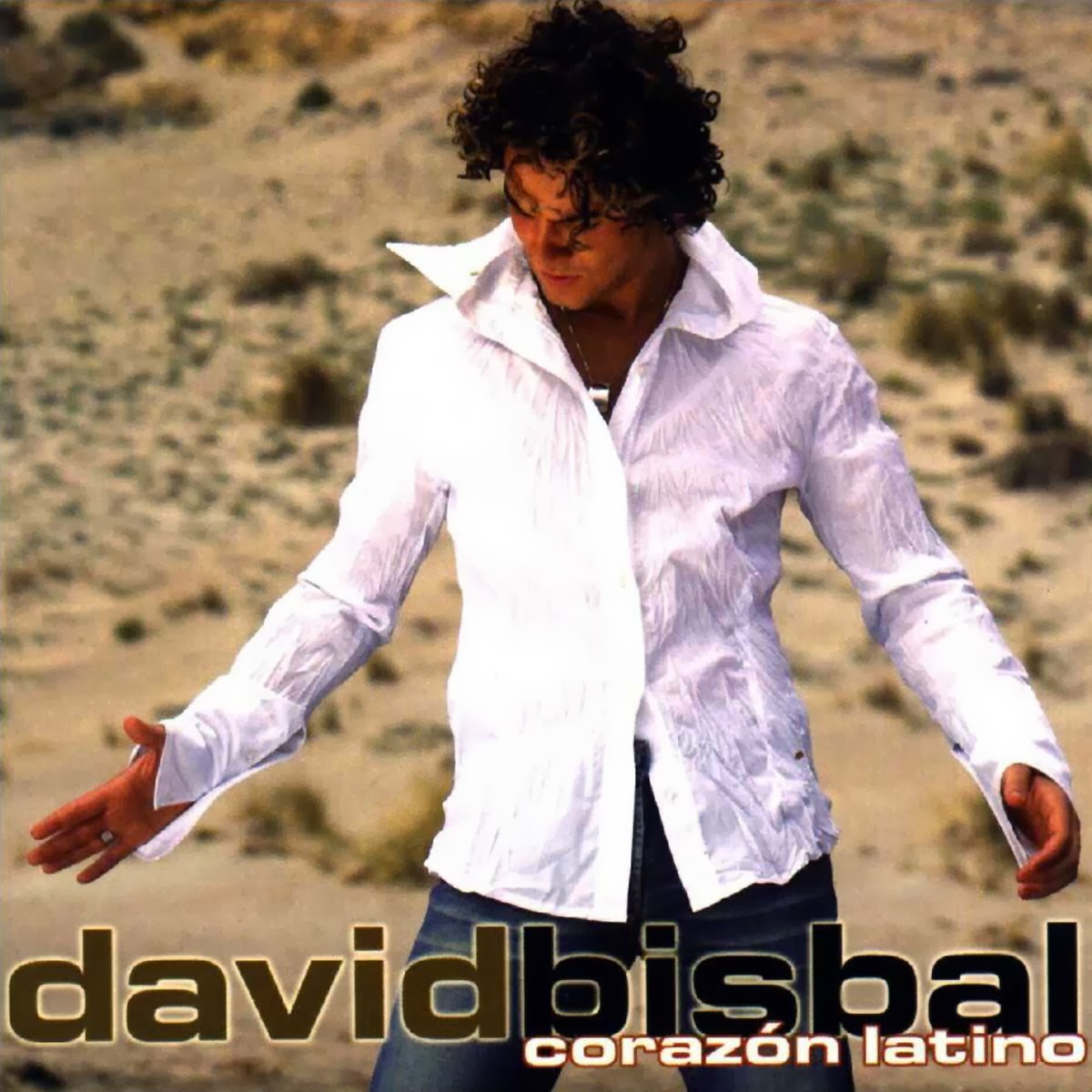 LETRAS DE LA CANCION DE BISBAL letras de la cancion de bisbal: