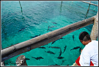 Juag Fish Sanctuary Sorsogon Juag Fish Sanctuary Sorsogon
