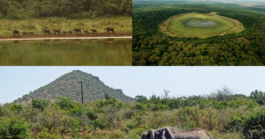 Brightways Travels and Tours Ltd Marsabit National Park