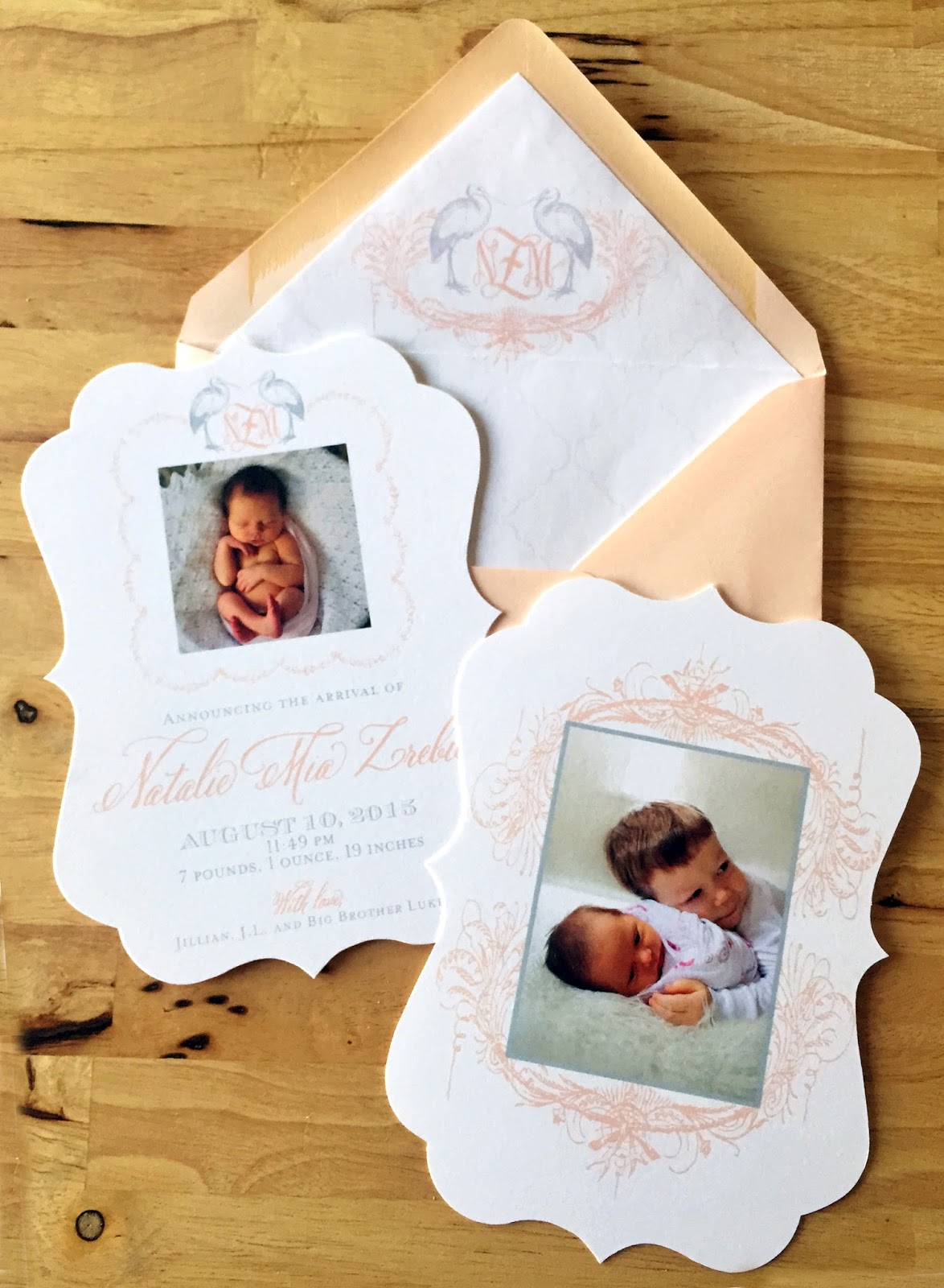 Nico and LaLa The Art of the Custom Birth Announcement