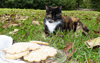 Flash the cat sees the honey-vanilla cookies
