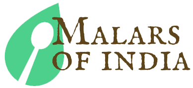 Malars Of India - Herbal Plants, Medicinal Plants, Rare Plants