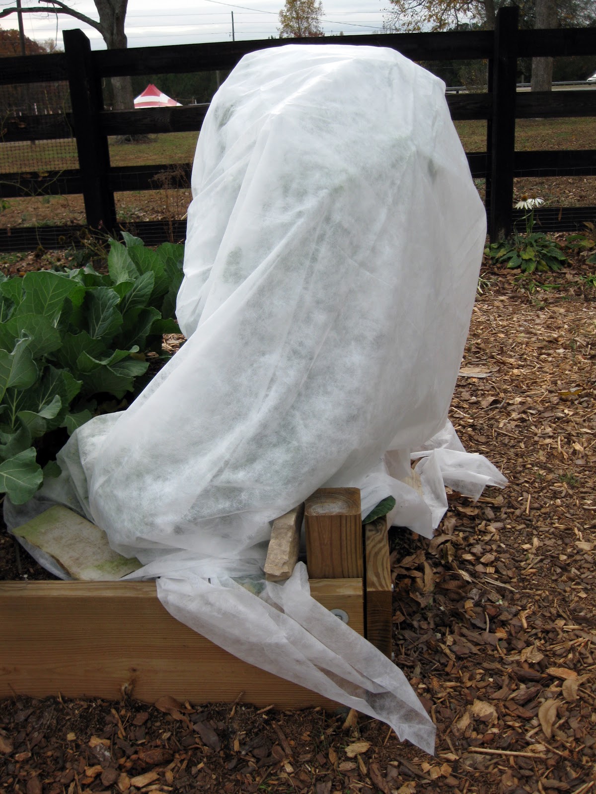 Green Meadows Community Garden: Simplest Frost Blanket/Row Cover to use