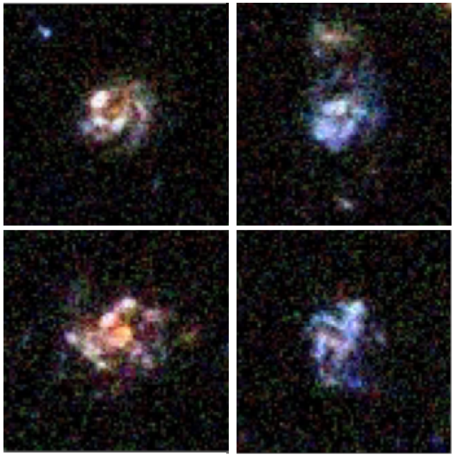 CANDELS Live Fast, Die... Small The Fall of the First Massive Galaxies