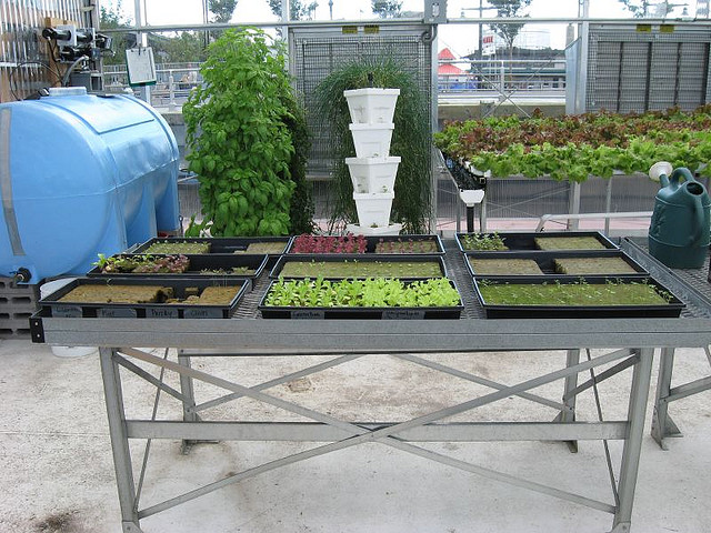 Science Barge: fazenda urbana sustentável