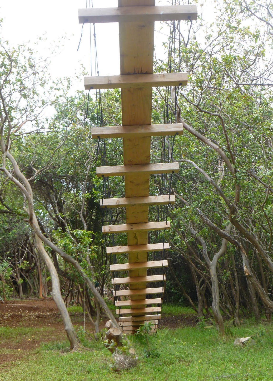 Maui Jungalow April 2013