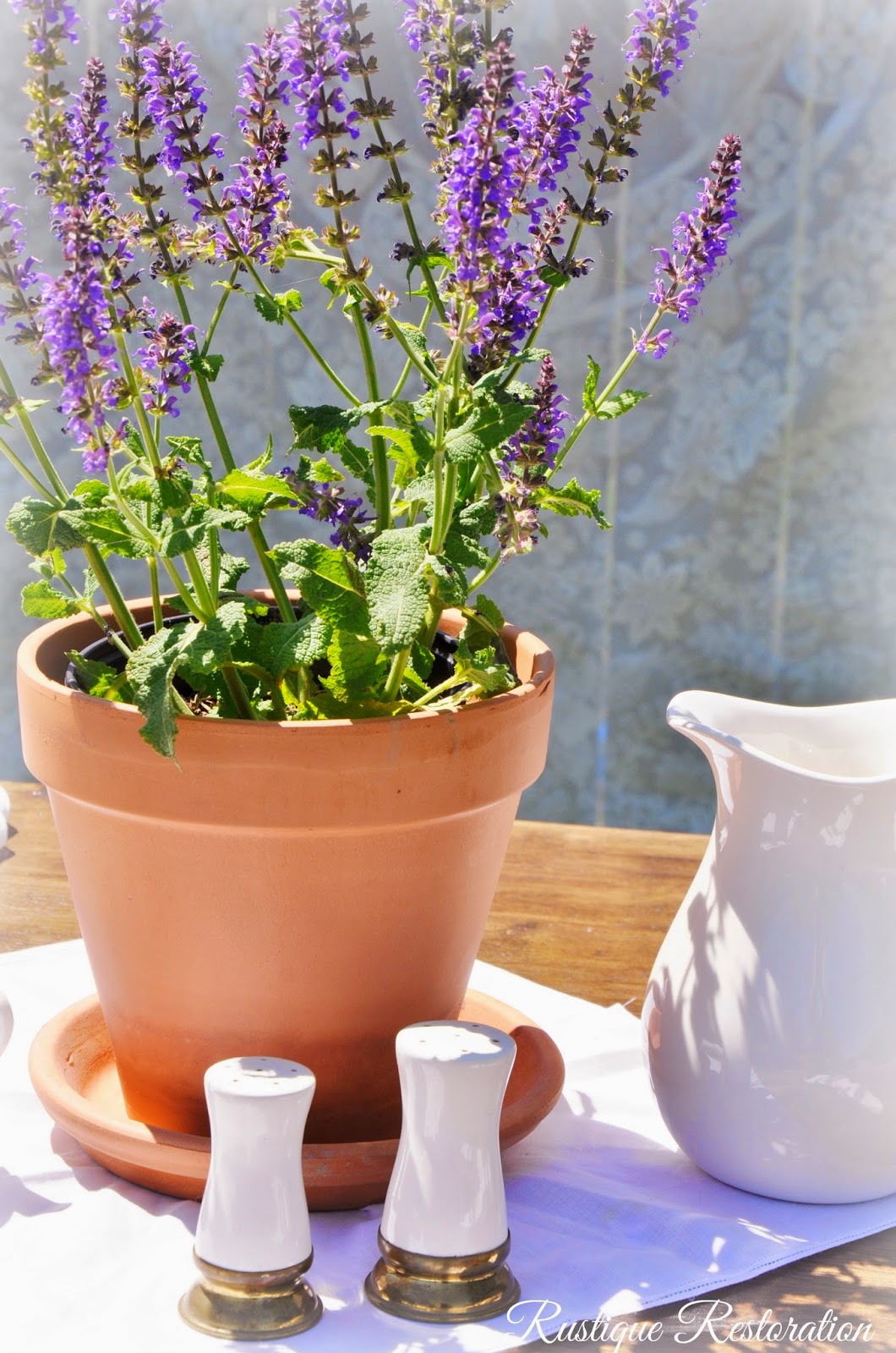 Rustique Restoration Portobello Farmhouse Table Set with Dark Walnut Tops!