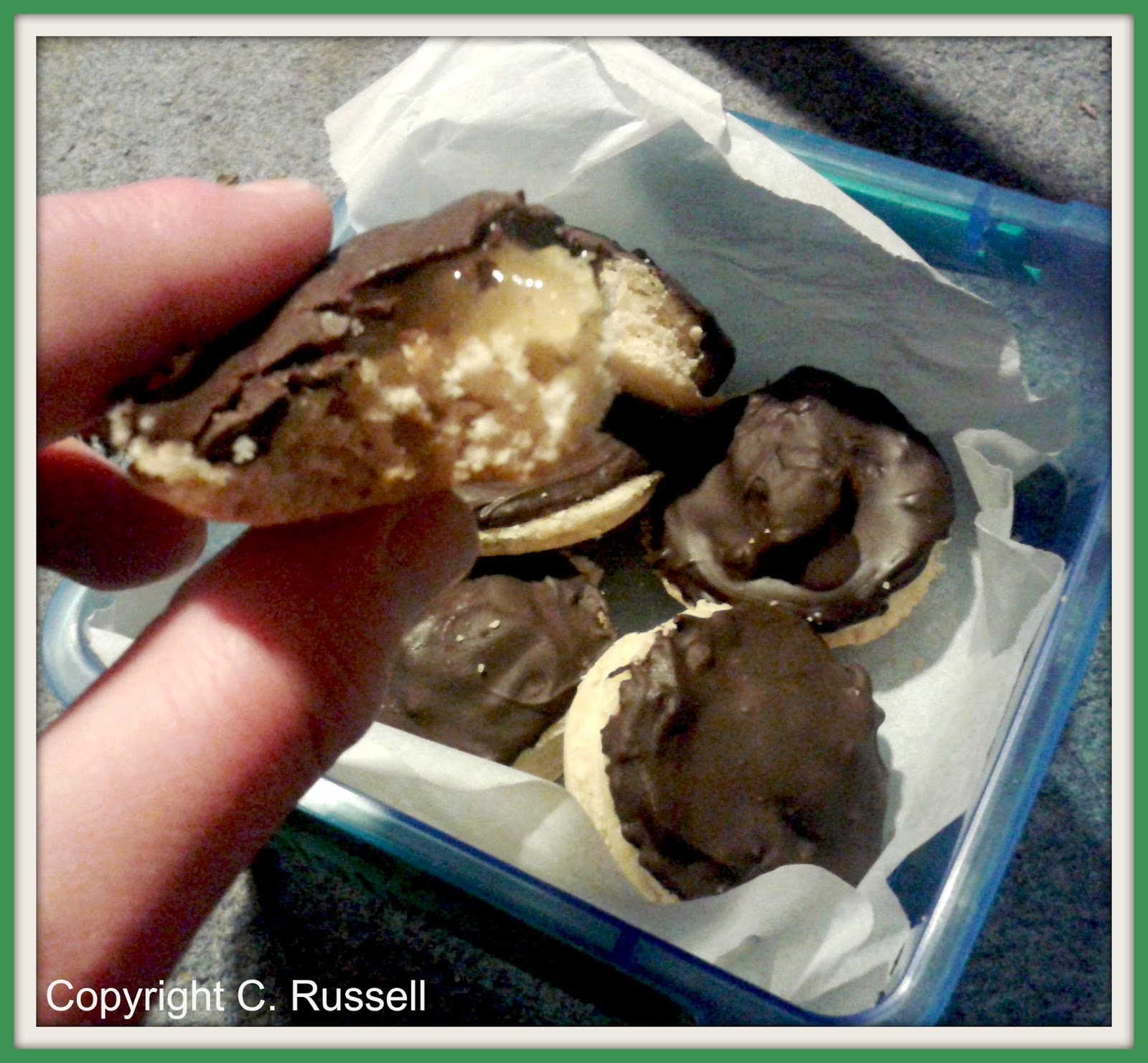 The Vegetarian Experience Healthy Vegetarian Jaffa Cakes