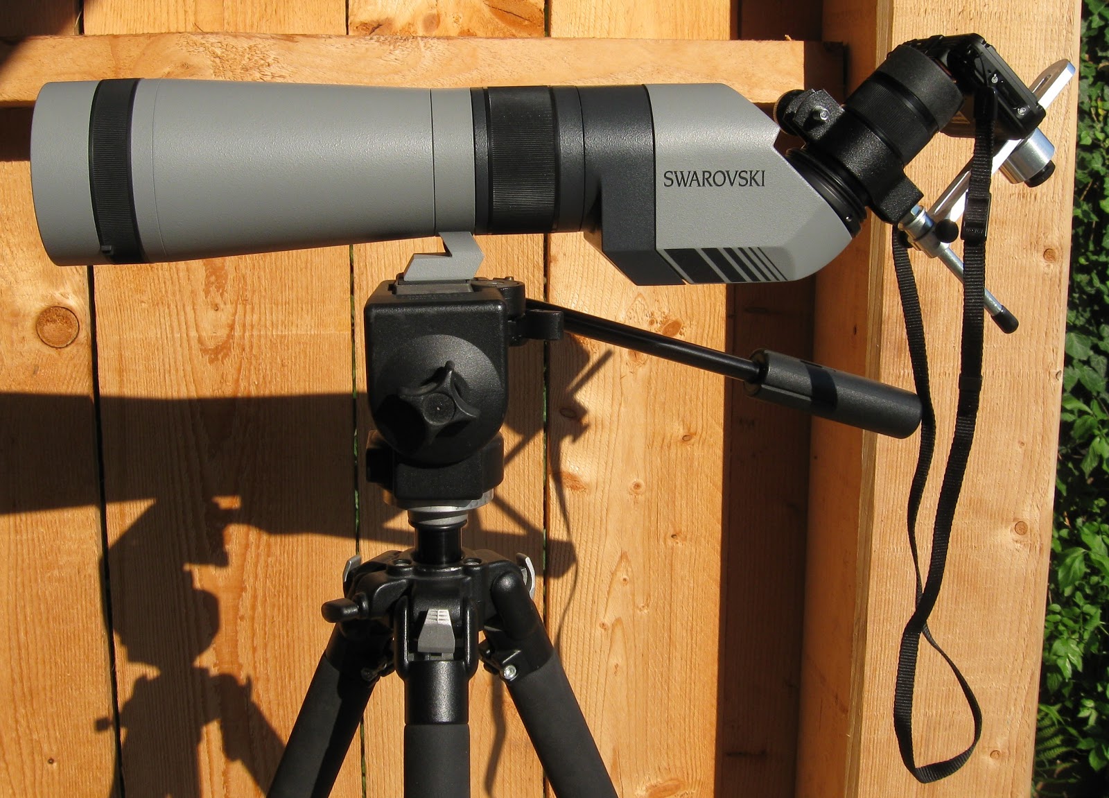 Robb's Blog Digiscoping with the ScopeTronix EZPix Digital Camera Holder