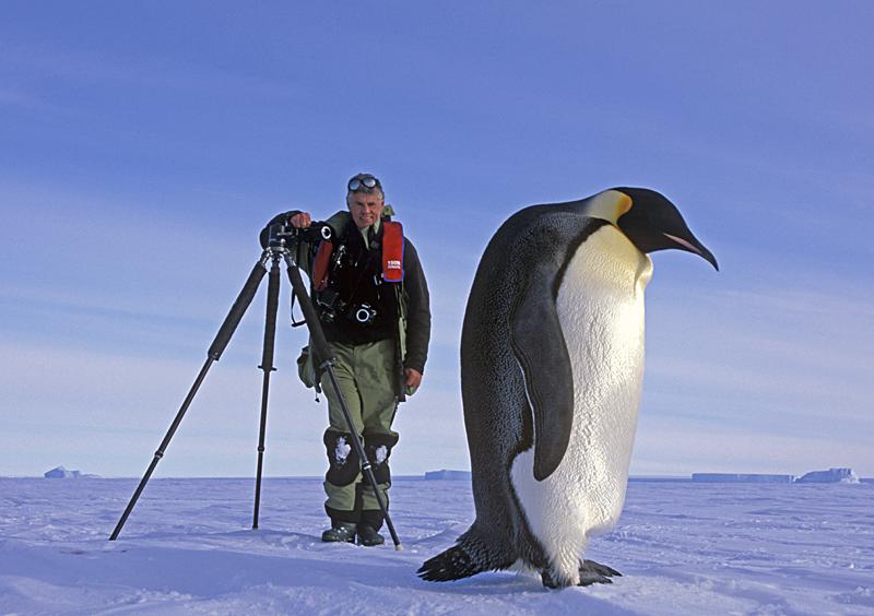 Animal Unique: Emperor Penguin