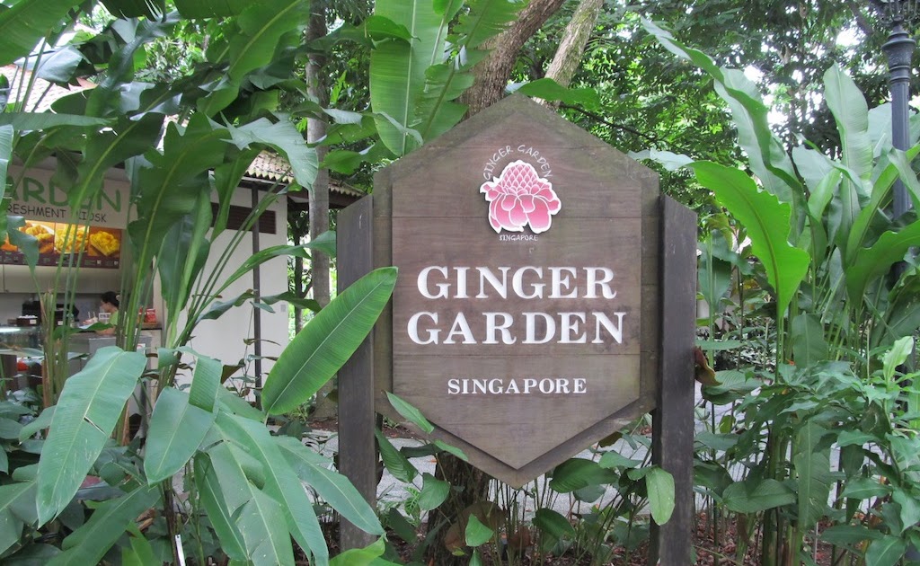 The Dilettante Photographer Ginger Garden, Botanical Gardens, Singapore