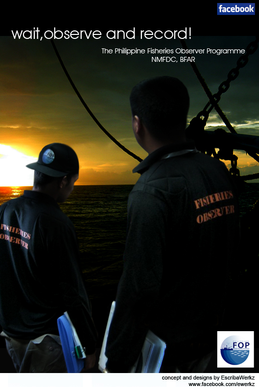 escribawerkz your total multimedia solution dyca m v crab t shirt designs