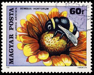 Sello de Hungría de 60f. de un abejorro de jardín (Bombus hortorum) sobre una flor manta (Gaillardia aristata) Sello de Hungría de 60f. de un abejorro de jardín (Bombus hortorum) sobre una flor manta (Gaillardia aristata)