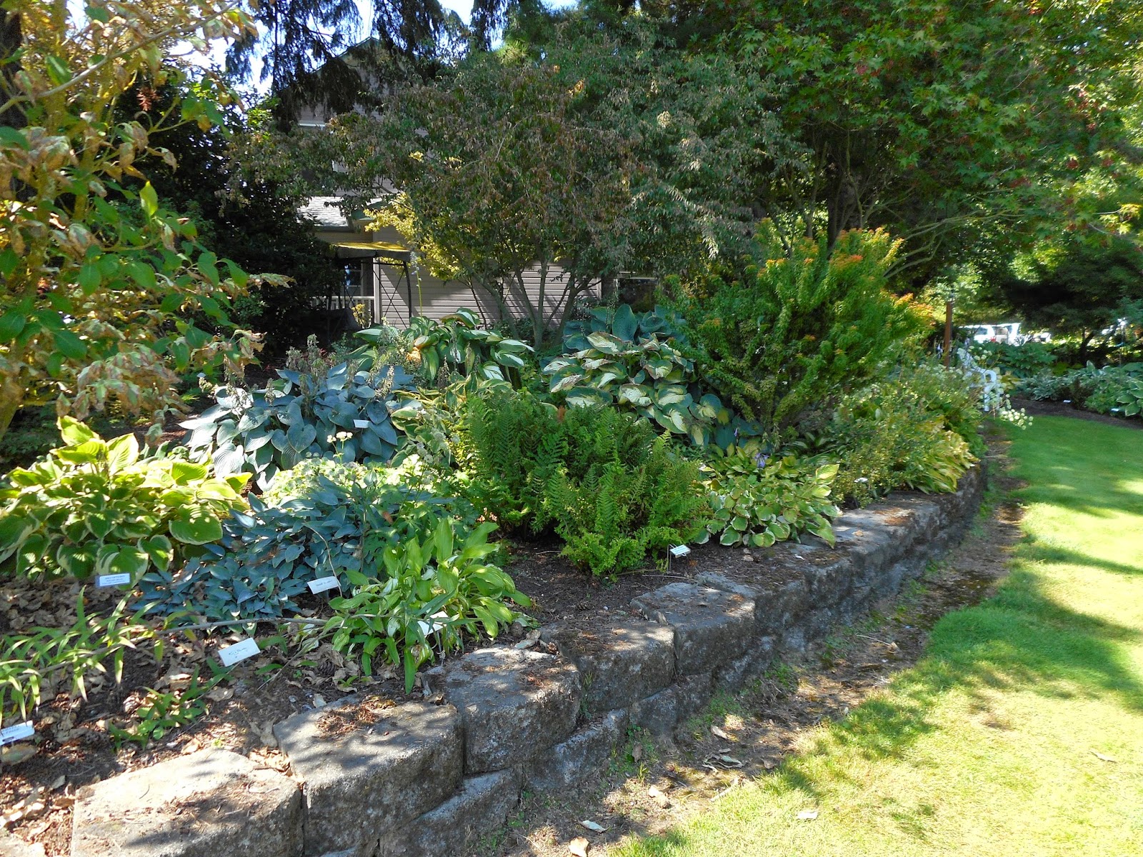 Gardening With Grace Garden Tour Sebright Gardens