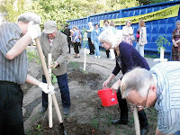 эти деревья жители посадили в мае 2012 г.