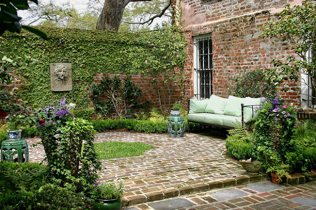 curious gardener southern courtyard