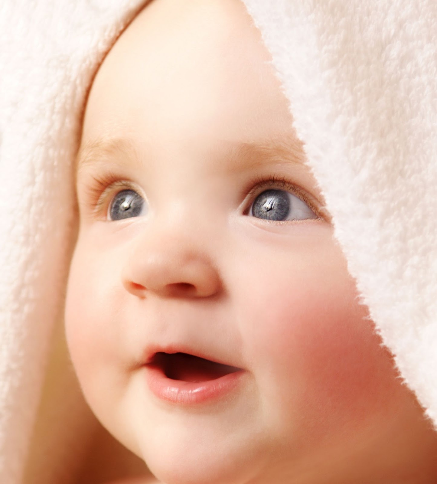 hd bebek resimleri rooteto+%252830%2529 30 En Güzel HD Kalite Bebek Resimleri
