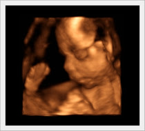 Our Baby 0-40 Weeks