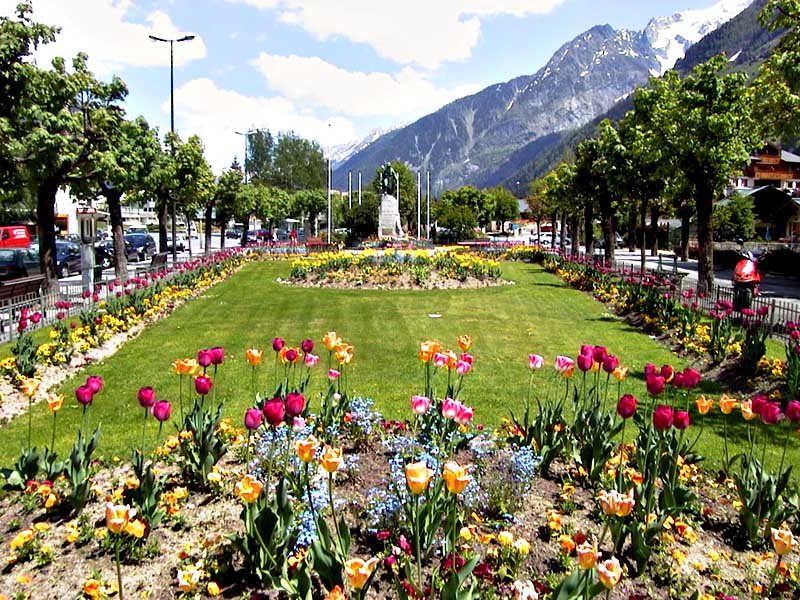 Tulip+garden+wallpaper