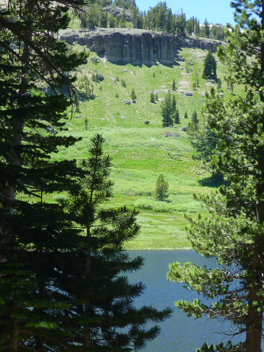 Trailing Ahead To Showers Lake via PCT from Meiss Meadows Trailhead