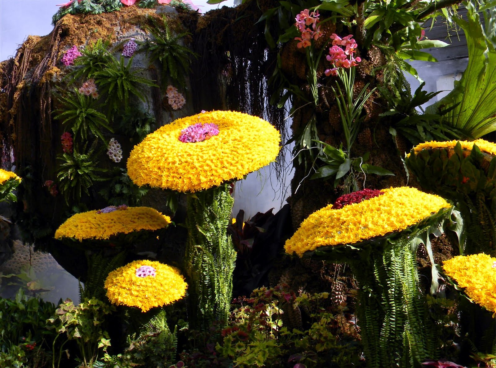 biodiversity natural environment and old growth Bio diversity and it’s loss in growth biodiversity is the degree of variation of life forms within a given species, biodiversity: natural environment and old growth. biodiversity natural environment and old growth Bio diversity and it’s loss in growth biodiversity is the degree of variation of life forms within a given species, biodiversity: natural environment and old growth.