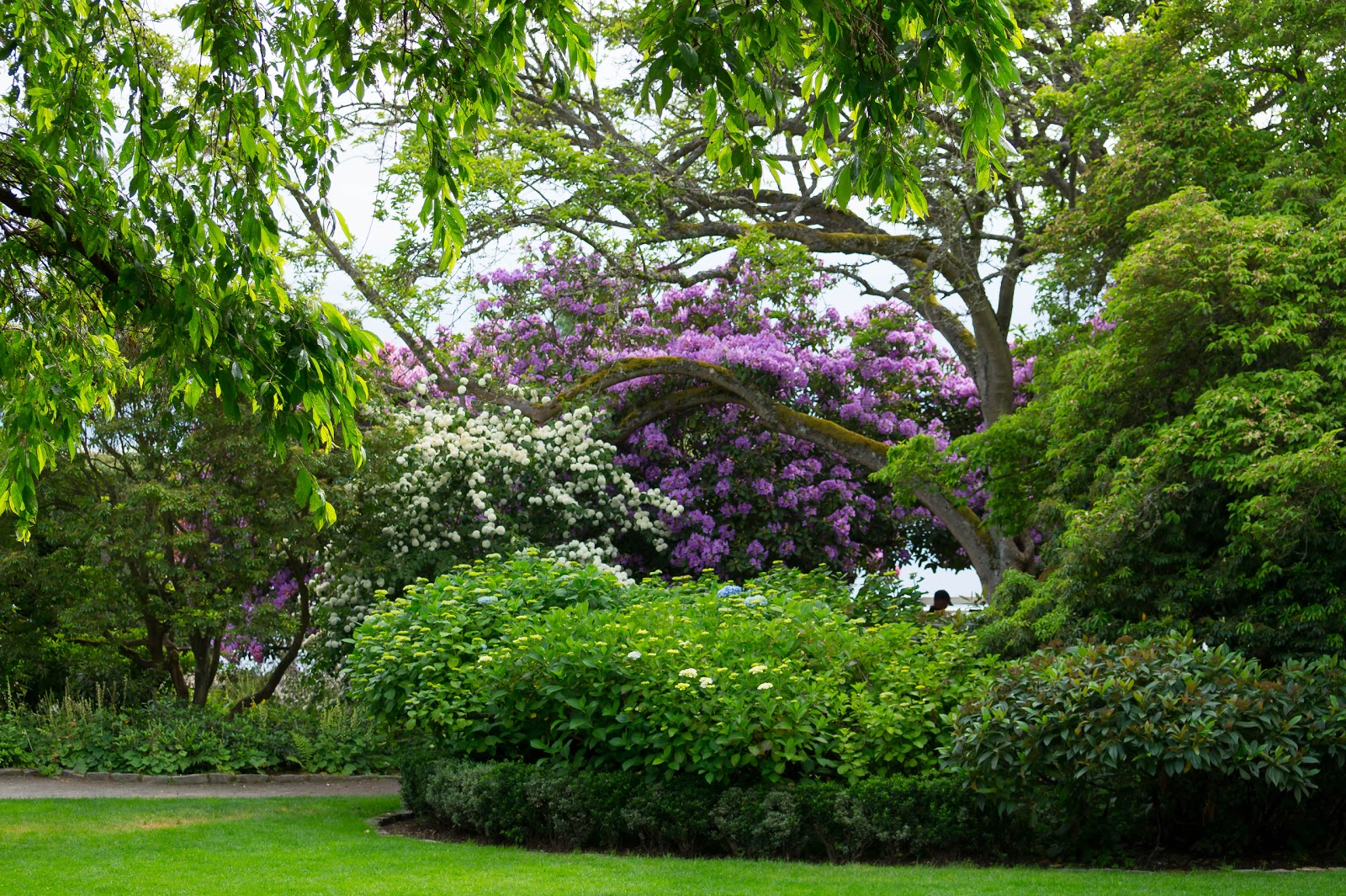Формально это был частный сад принадлежавший горожанину Реджинальду Парсон. После его смерти в 1956 году его дети подарили сады городу