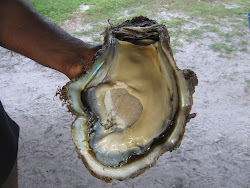 Giant oyster