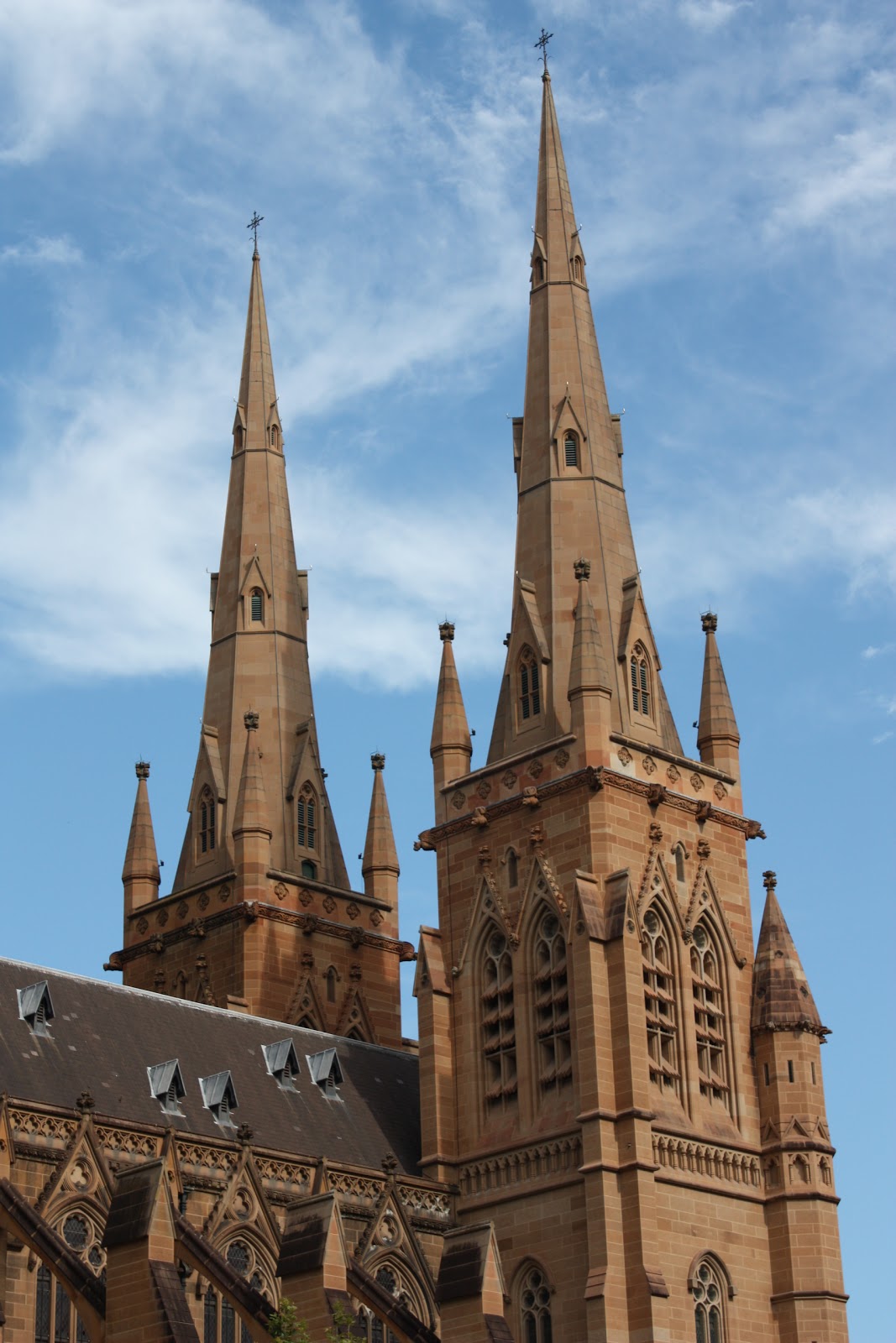 Sydney City and Suburbs St Mary's Cathedral, spires