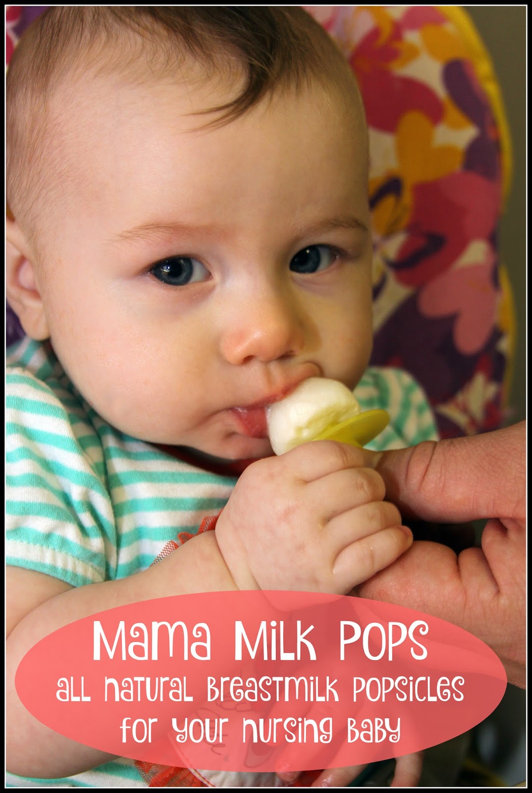 For the Love of Food Mama Milk Pops for Baby and Baby Mantra Products