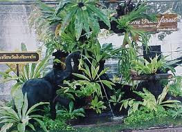 จัดสวนไม้มงคล จัดสวนด้วยตัวเอง Garden Tree Garland