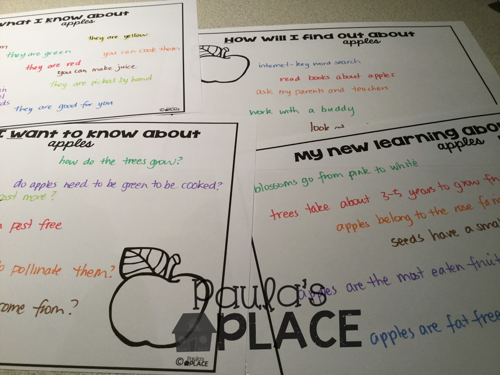 Paula's Place Apples, Apples and More Apples Writing Prompts and