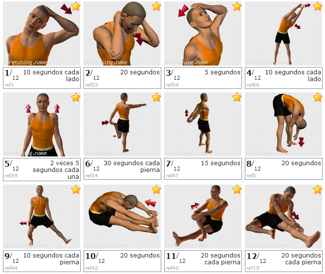 Bases jugo para quemar grasa abdominal en 4 dias debe que Ingesta jugo para quemar grasa abdominal en 4 dias Estos
