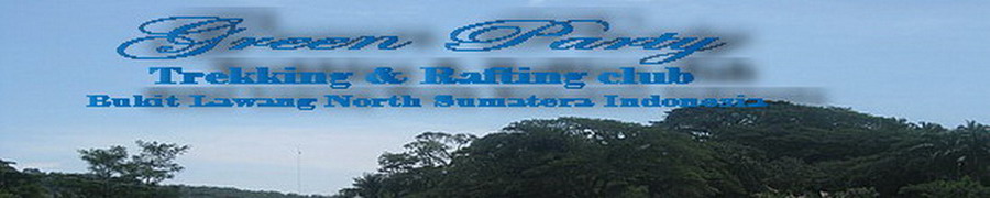 Green Party67 Trekking & Rafting Club Bukit Lawang