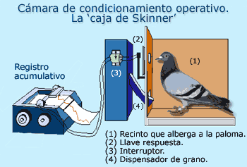 Caracteristicas Del Condicionamiento Operante Pdf