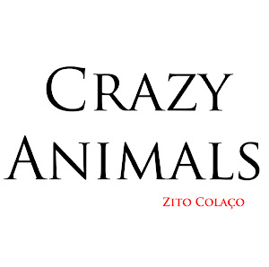 Blog Crazy Animals