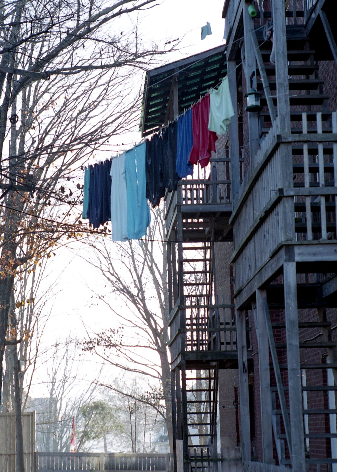 spot011.jpg