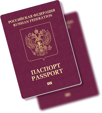 Фитофтора что можно сажать 995