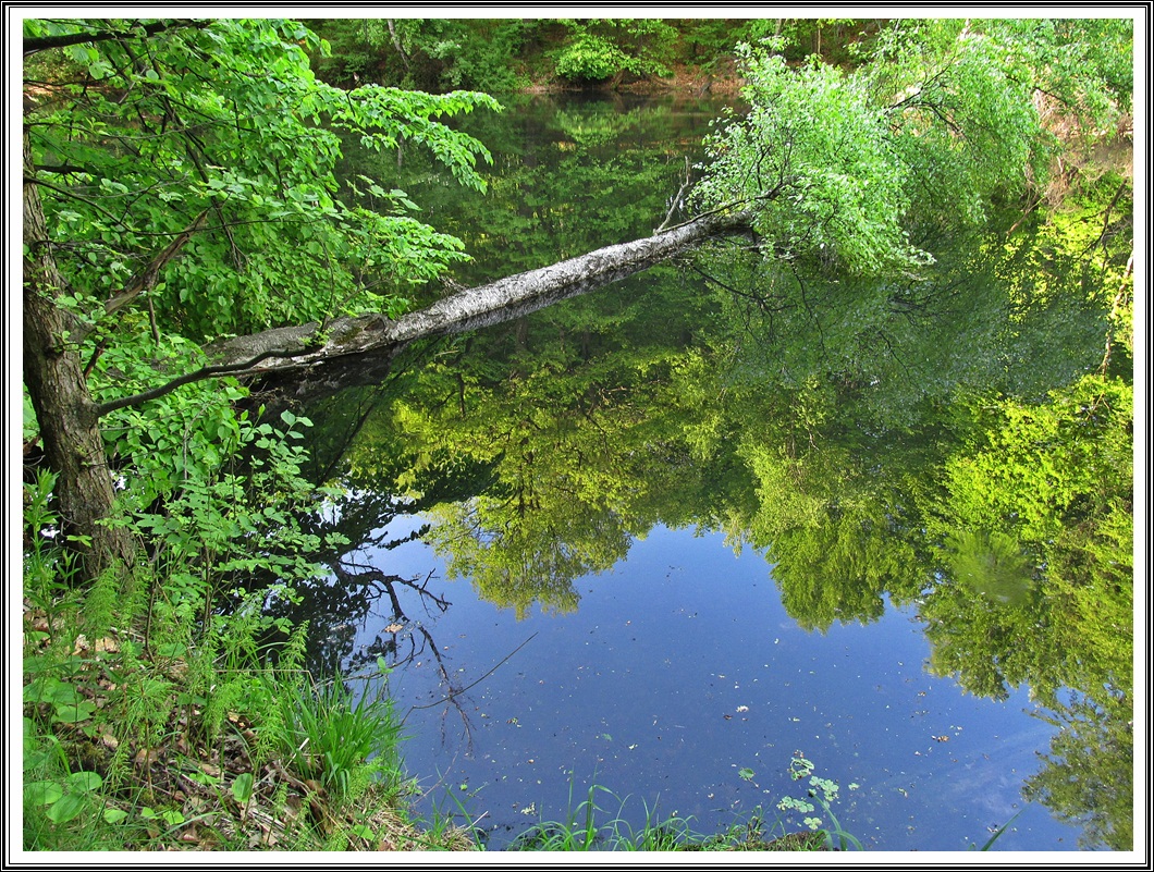 http://4.bp.blogspot.com/-atEnfeHh5AI/UZfVGCMQ_qI/AAAAAAAAKJI/LghnuRPl_1Q/s1600/IMG_4487.JPG