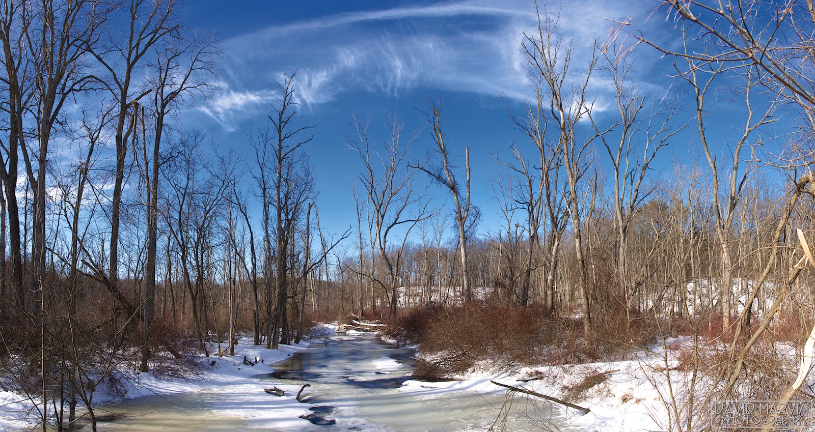 David Marvin Photography Lansing, Michigan Rose Lake Panoramas