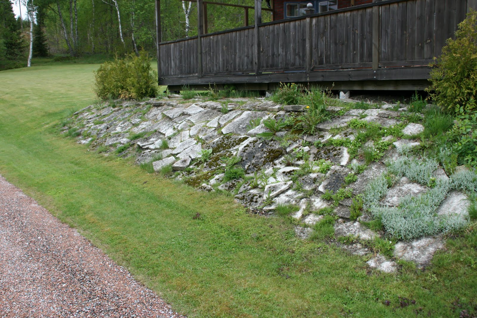 Bellas väg tillbaka: maj 2011