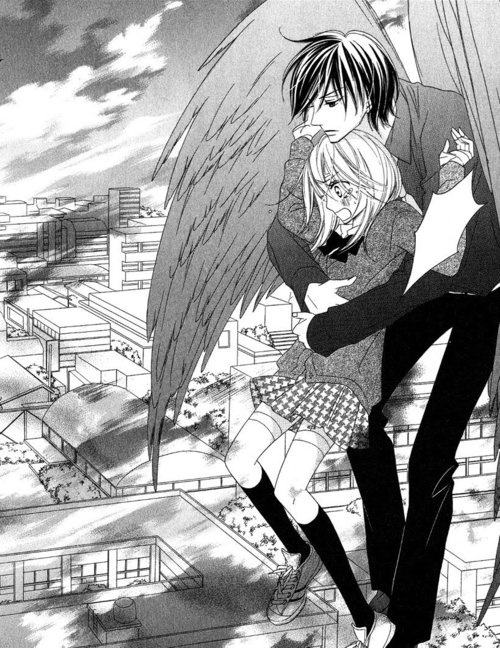 My manga Review: Black Bird