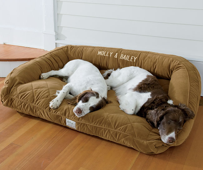 Doc's Thoughts June 2011