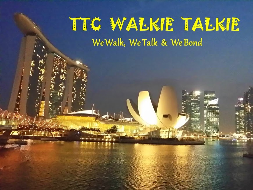 TTC Walkie Talkie