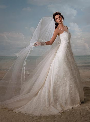 Chiffon Floor-length Wedding Dress and Lace Long Veil title=