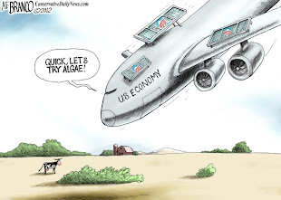 Political Cartoons by AF Branco