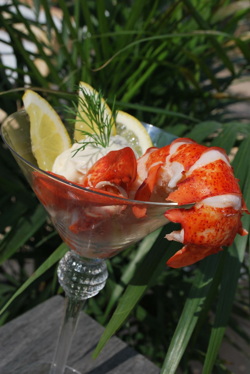 Scrumpdillyicious Chilled Lobster Salad with Lemon Dill Sauce