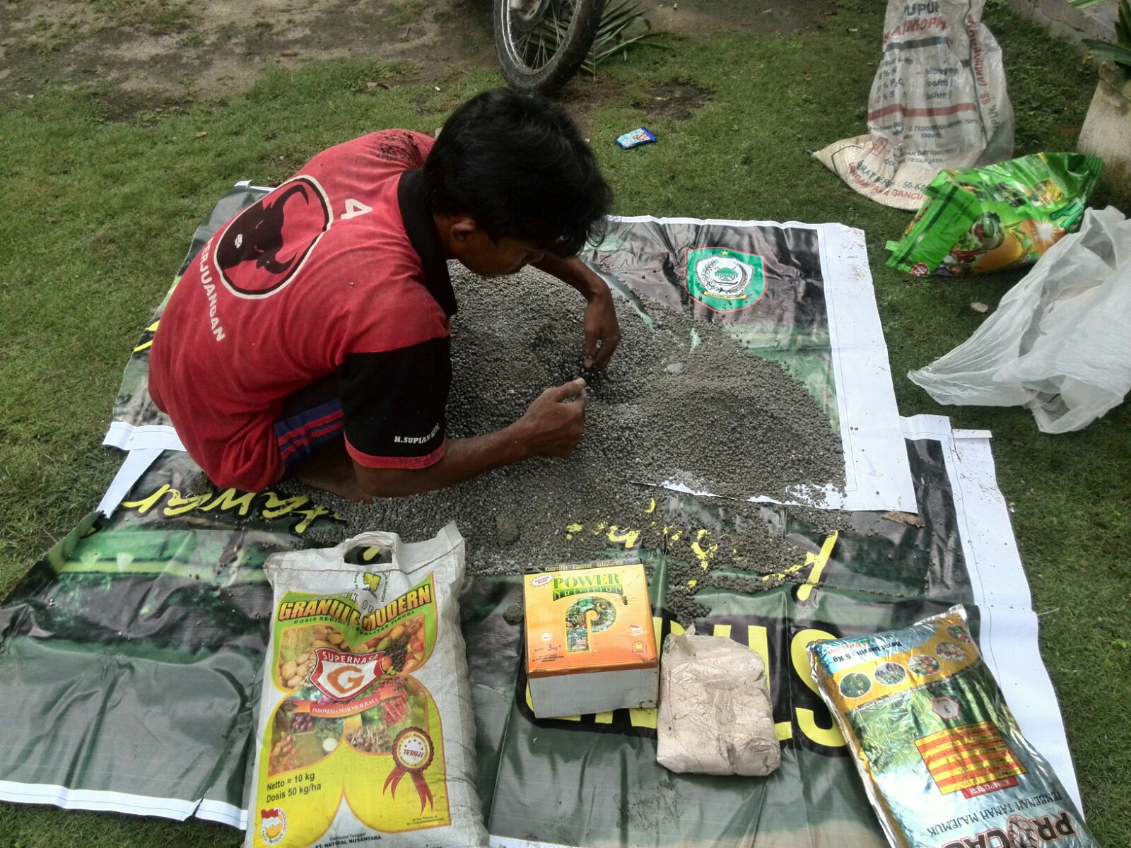 CARA PEMUPUKAN KELAPA SAWIT | PUPUK SAWIT NASA