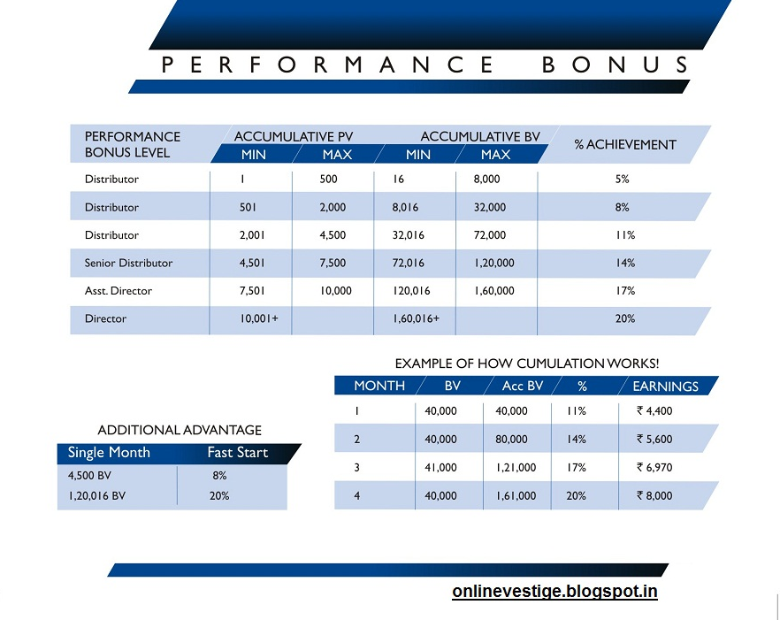 Vestige business plan pdf picture