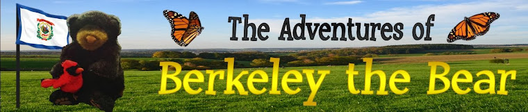 The Adventures of Berkeley the Bear